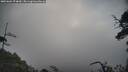./images/calvert/fitz-hugh-hecate/20250604/fitz-hugh-hecate20250604_074010M.jpg
