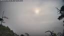 ./images/calvert/fitz-hugh-hecate/20250604/fitz-hugh-hecate20250604_074508M.jpg