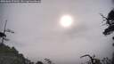 ./images/calvert/fitz-hugh-hecate/20250604/fitz-hugh-hecate20250604_075010M.jpg
