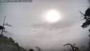 ./images/calvert/fitz-hugh-hecate/20250604/fitz-hugh-hecate20250604_075510M.jpg