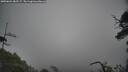 ./images/calvert/fitz-hugh-hecate/20250604/fitz-hugh-hecate20250604_082506M.jpg