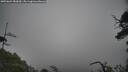 ./images/calvert/fitz-hugh-hecate/20250604/fitz-hugh-hecate20250604_083010M.jpg