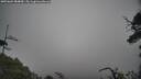 ./images/calvert/fitz-hugh-hecate/20250604/fitz-hugh-hecate20250604_084010M.jpg