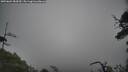 ./images/calvert/fitz-hugh-hecate/20250604/fitz-hugh-hecate20250604_084510M.jpg