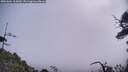 ./images/calvert/fitz-hugh-hecate/20250604/fitz-hugh-hecate20250604_105010M.jpg