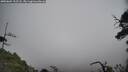 ./images/calvert/fitz-hugh-hecate/20250604/fitz-hugh-hecate20250604_112508M.jpg