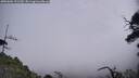 ./images/calvert/fitz-hugh-hecate/20250604/fitz-hugh-hecate20250604_121510M.jpg
