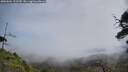 ./images/calvert/fitz-hugh-hecate/20250604/fitz-hugh-hecate20250604_122509M.jpg