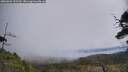 ./images/calvert/fitz-hugh-hecate/20250604/fitz-hugh-hecate20250604_123509M.jpg