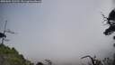 ./images/calvert/fitz-hugh-hecate/20250604/fitz-hugh-hecate20250604_132510M.jpg