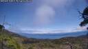 ./images/calvert/fitz-hugh-hecate/20250604/fitz-hugh-hecate20250604_134009M.jpg