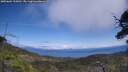 ./images/calvert/fitz-hugh-hecate/20250604/fitz-hugh-hecate20250604_135010M.jpg