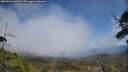 ./images/calvert/fitz-hugh-hecate/20250604/fitz-hugh-hecate20250604_140509M.jpg