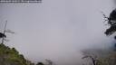 ./images/calvert/fitz-hugh-hecate/20250604/fitz-hugh-hecate20250604_141009M.jpg