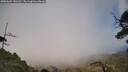 ./images/calvert/fitz-hugh-hecate/20250604/fitz-hugh-hecate20250604_141510M.jpg