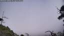 ./images/calvert/fitz-hugh-hecate/20250604/fitz-hugh-hecate20250604_145010M.jpg