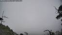 ./images/calvert/fitz-hugh-hecate/20250604/fitz-hugh-hecate20250604_150509M.jpg