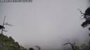 ./images/calvert/fitz-hugh-hecate/20250604/fitz-hugh-hecate20250604_160509M.jpg