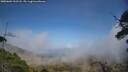 ./images/calvert/fitz-hugh-hecate/20250604/fitz-hugh-hecate20250604_161508M.jpg