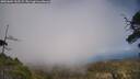 ./images/calvert/fitz-hugh-hecate/20250604/fitz-hugh-hecate20250604_162509M.jpg