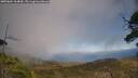 ./images/calvert/fitz-hugh-hecate/20250604/fitz-hugh-hecate20250604_164009M.jpg