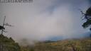 ./images/calvert/fitz-hugh-hecate/20250604/fitz-hugh-hecate20250604_164510M.jpg