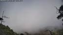 ./images/calvert/fitz-hugh-hecate/20250604/fitz-hugh-hecate20250604_165508M.jpg