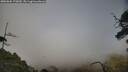 ./images/calvert/fitz-hugh-hecate/20250604/fitz-hugh-hecate20250604_170010M.jpg
