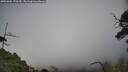 ./images/calvert/fitz-hugh-hecate/20250604/fitz-hugh-hecate20250604_170509M.jpg