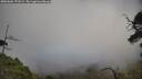 ./images/calvert/fitz-hugh-hecate/20250604/fitz-hugh-hecate20250604_171009M.jpg