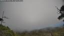 ./images/calvert/fitz-hugh-hecate/20250604/fitz-hugh-hecate20250604_171510M.jpg