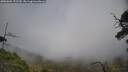 ./images/calvert/fitz-hugh-hecate/20250604/fitz-hugh-hecate20250604_172509M.jpg