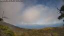 ./images/calvert/fitz-hugh-hecate/20250604/fitz-hugh-hecate20250604_174510M.jpg