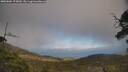 ./images/calvert/fitz-hugh-hecate/20250604/fitz-hugh-hecate20250604_175010M.jpg