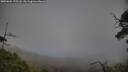 ./images/calvert/fitz-hugh-hecate/20250604/fitz-hugh-hecate20250604_175508M.jpg