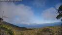 ./images/calvert/fitz-hugh-hecate/20250604/fitz-hugh-hecate20250604_180509M.jpg