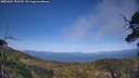 ./images/calvert/fitz-hugh-hecate/20250604/fitz-hugh-hecate20250604_181510M.jpg