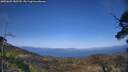 ./images/calvert/fitz-hugh-hecate/20250604/fitz-hugh-hecate20250604_182510M.jpg