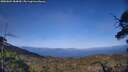 ./images/calvert/fitz-hugh-hecate/20250604/fitz-hugh-hecate20250604_184009M.jpg