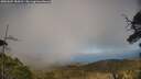 ./images/calvert/fitz-hugh-hecate/20250604/fitz-hugh-hecate20250604_184510M.jpg