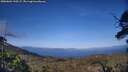 ./images/calvert/fitz-hugh-hecate/20250604/fitz-hugh-hecate20250604_190507M.jpg
