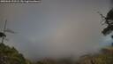 ./images/calvert/fitz-hugh-hecate/20250604/fitz-hugh-hecate20250604_193508M.jpg