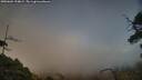 ./images/calvert/fitz-hugh-hecate/20250604/fitz-hugh-hecate20250604_194009M.jpg