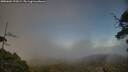 ./images/calvert/fitz-hugh-hecate/20250604/fitz-hugh-hecate20250604_194508M.jpg