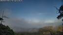 ./images/calvert/fitz-hugh-hecate/20250604/fitz-hugh-hecate20250604_195006M.jpg