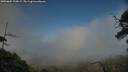 ./images/calvert/fitz-hugh-hecate/20250604/fitz-hugh-hecate20250604_200009M.jpg