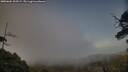 ./images/calvert/fitz-hugh-hecate/20250604/fitz-hugh-hecate20250604_200509M.jpg