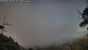 ./images/calvert/fitz-hugh-hecate/20250604/fitz-hugh-hecate20250604_201008M.jpg