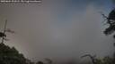 ./images/calvert/fitz-hugh-hecate/20250604/fitz-hugh-hecate20250604_202007M.jpg