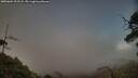 ./images/calvert/fitz-hugh-hecate/20250604/fitz-hugh-hecate20250604_202508M.jpg